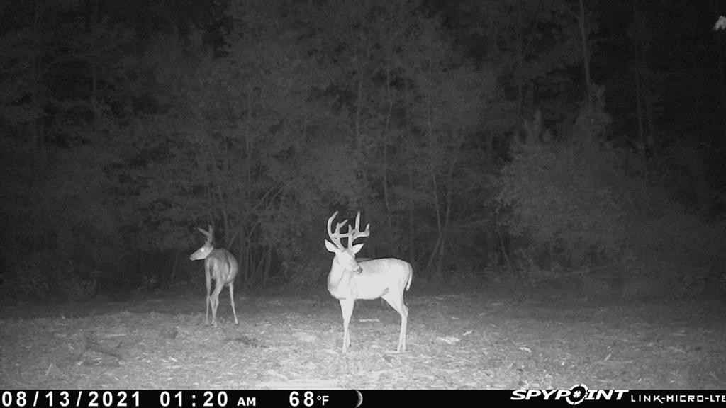 686 PR 5102 (Bennett Cemetery Road)  