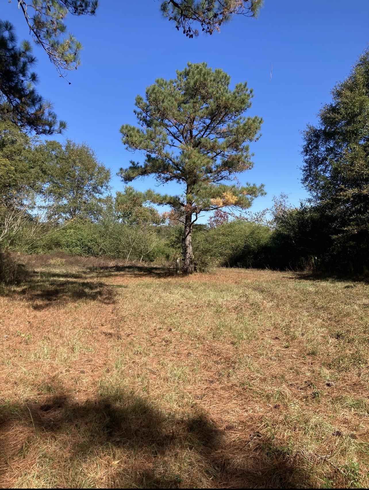 0 Sellers Pond Rd  