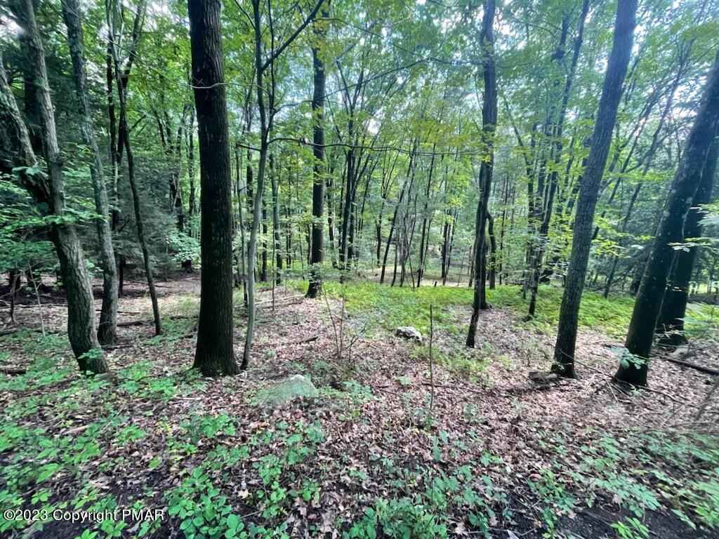 Lot 25 Cayuga Ct  