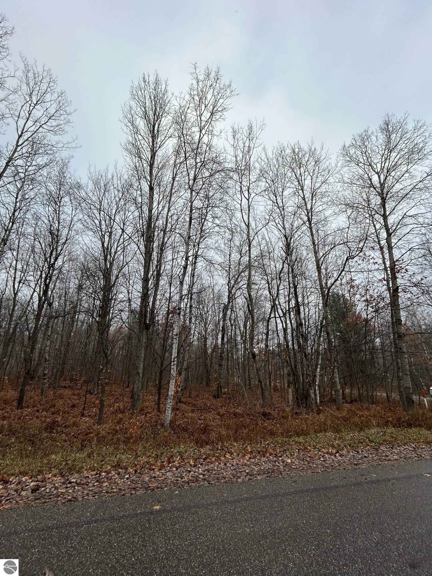 00 Northwood Dr  