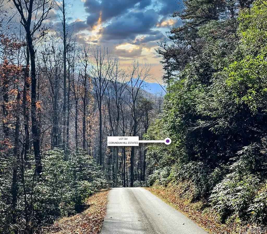 LOT 361 Wildflower Dr  