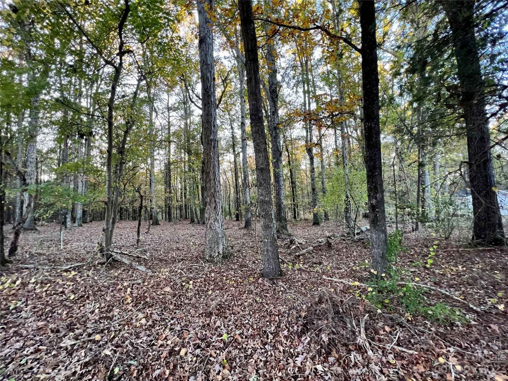 2 79 Acres Charlotte Hwy  