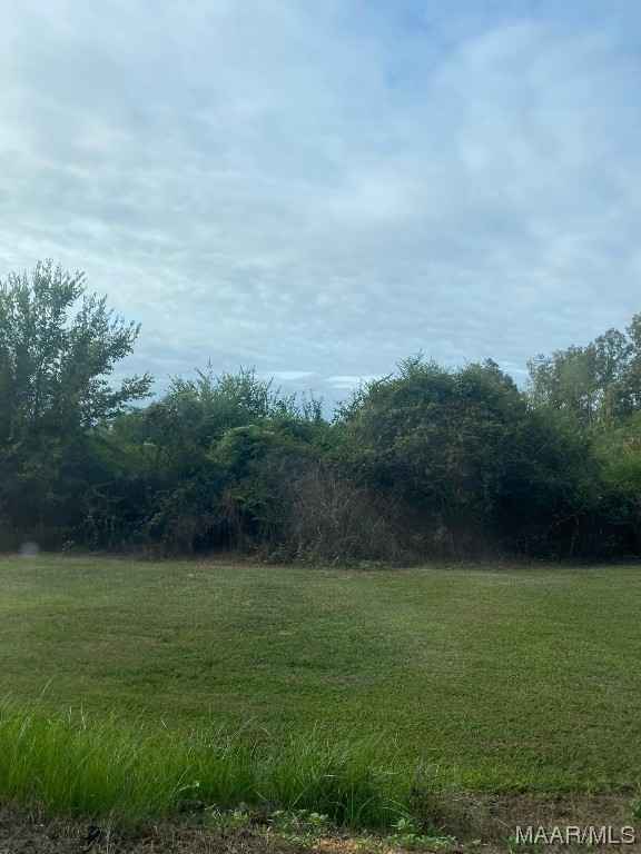 250 County Road 489 Rd  