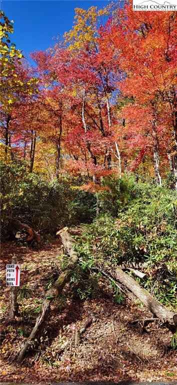 Parcel 2 Amicalola Way  