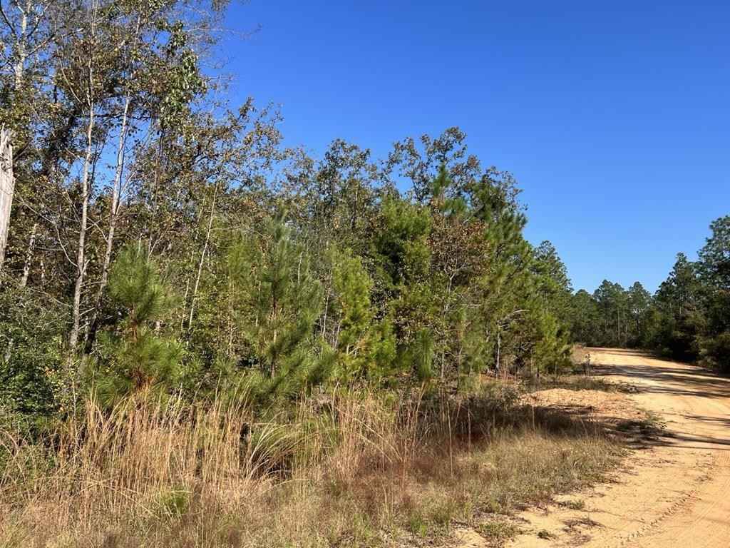 LOT 30 Yvette Dr  