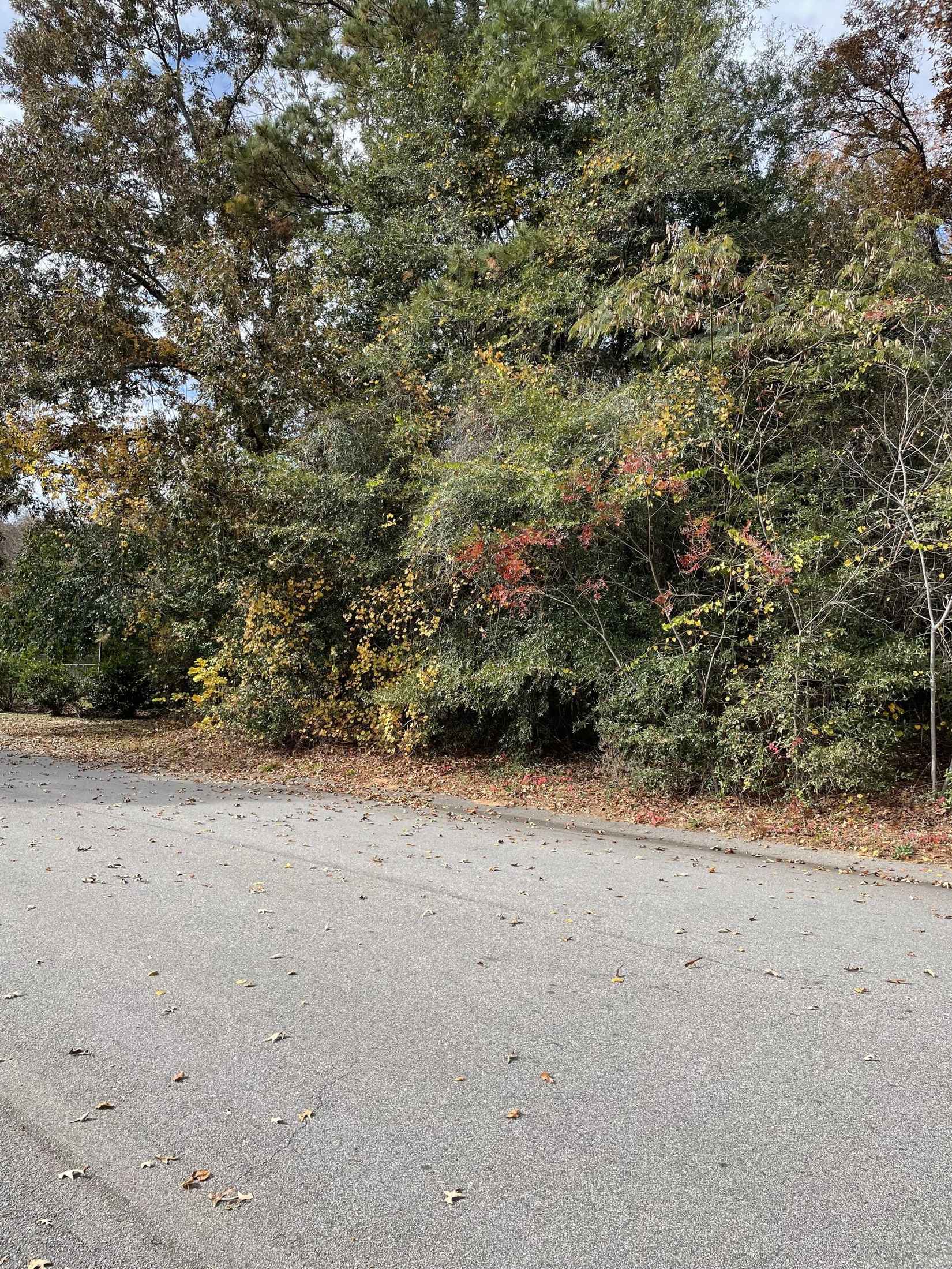 0 TAVELLE PLANTATION Dr  