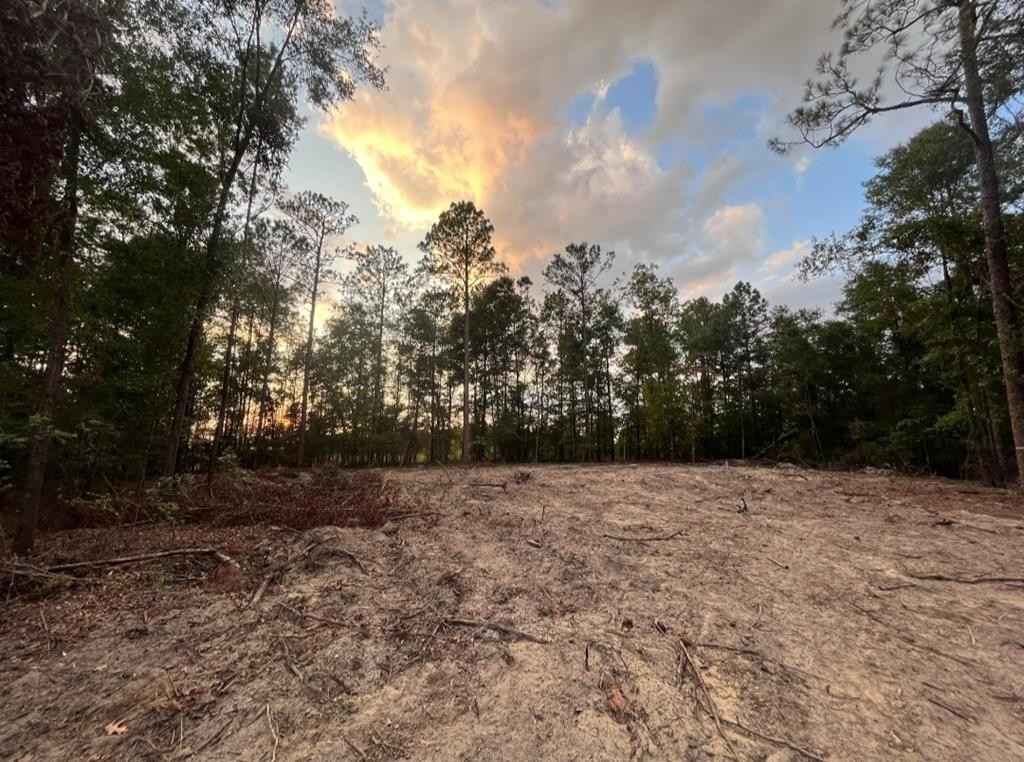 Lot 34 35 Five Mile Rd  