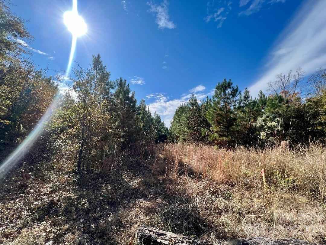 11 53 Acres Old Camden Hwy  