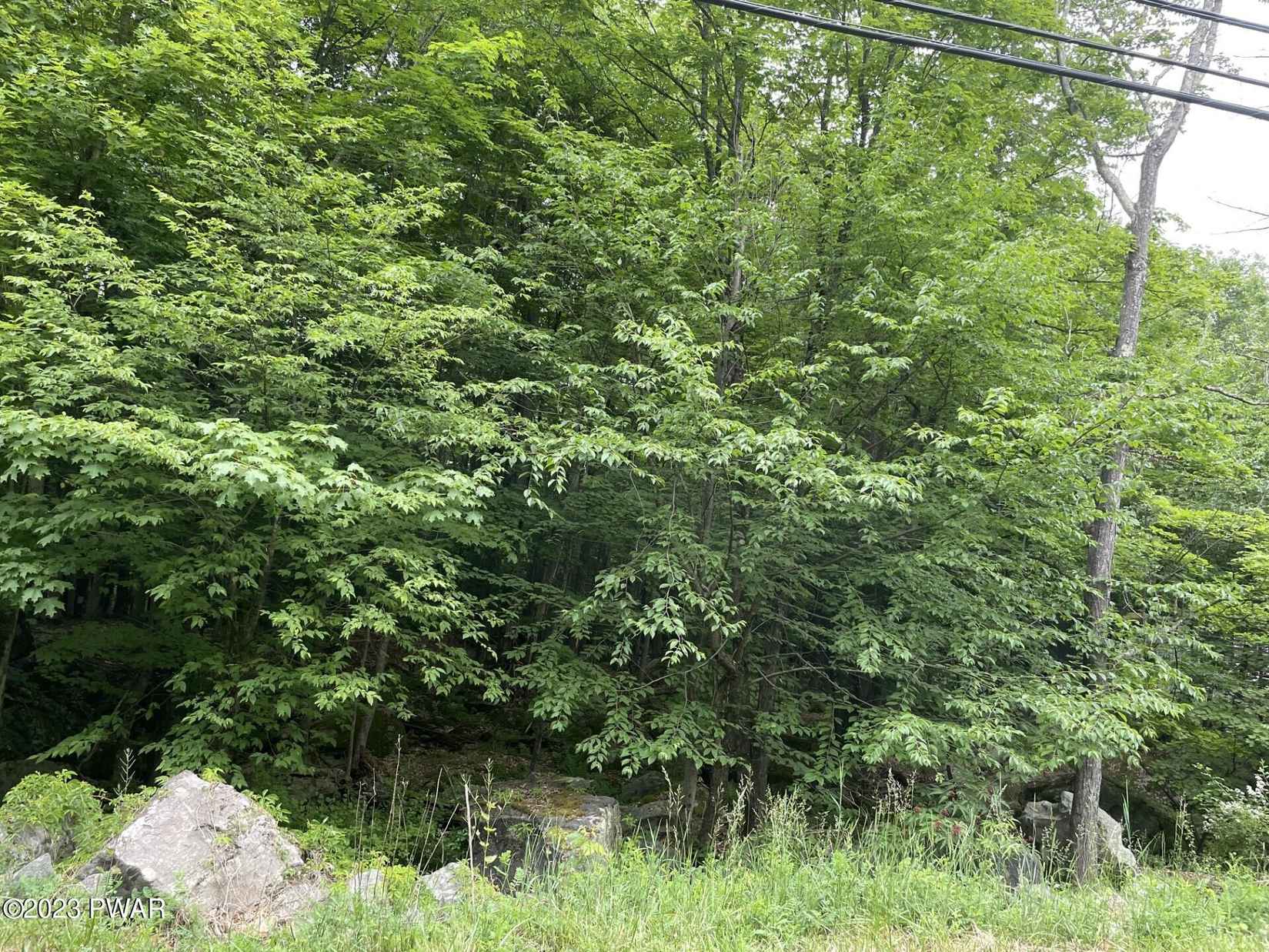 205 Northgate Rd  
