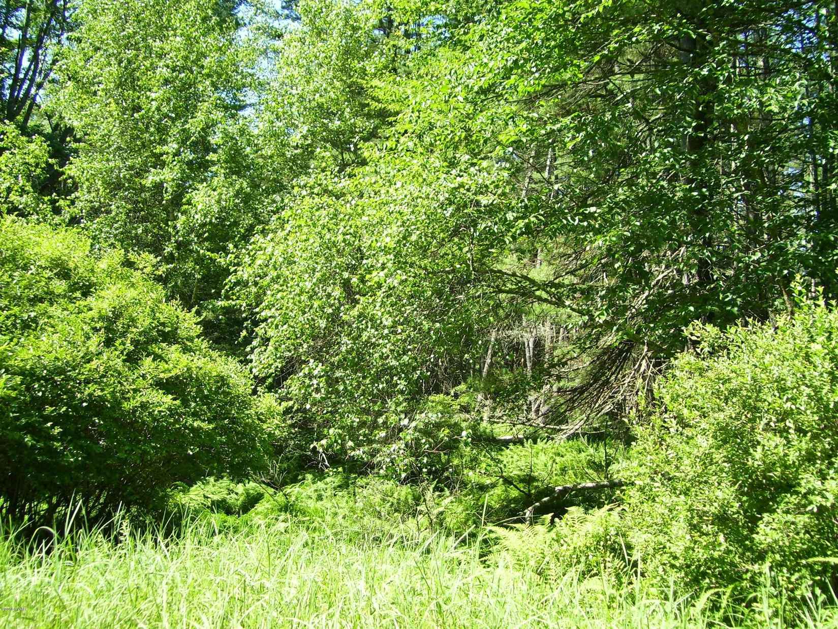 Lot Unit 2 Rebels Rd  