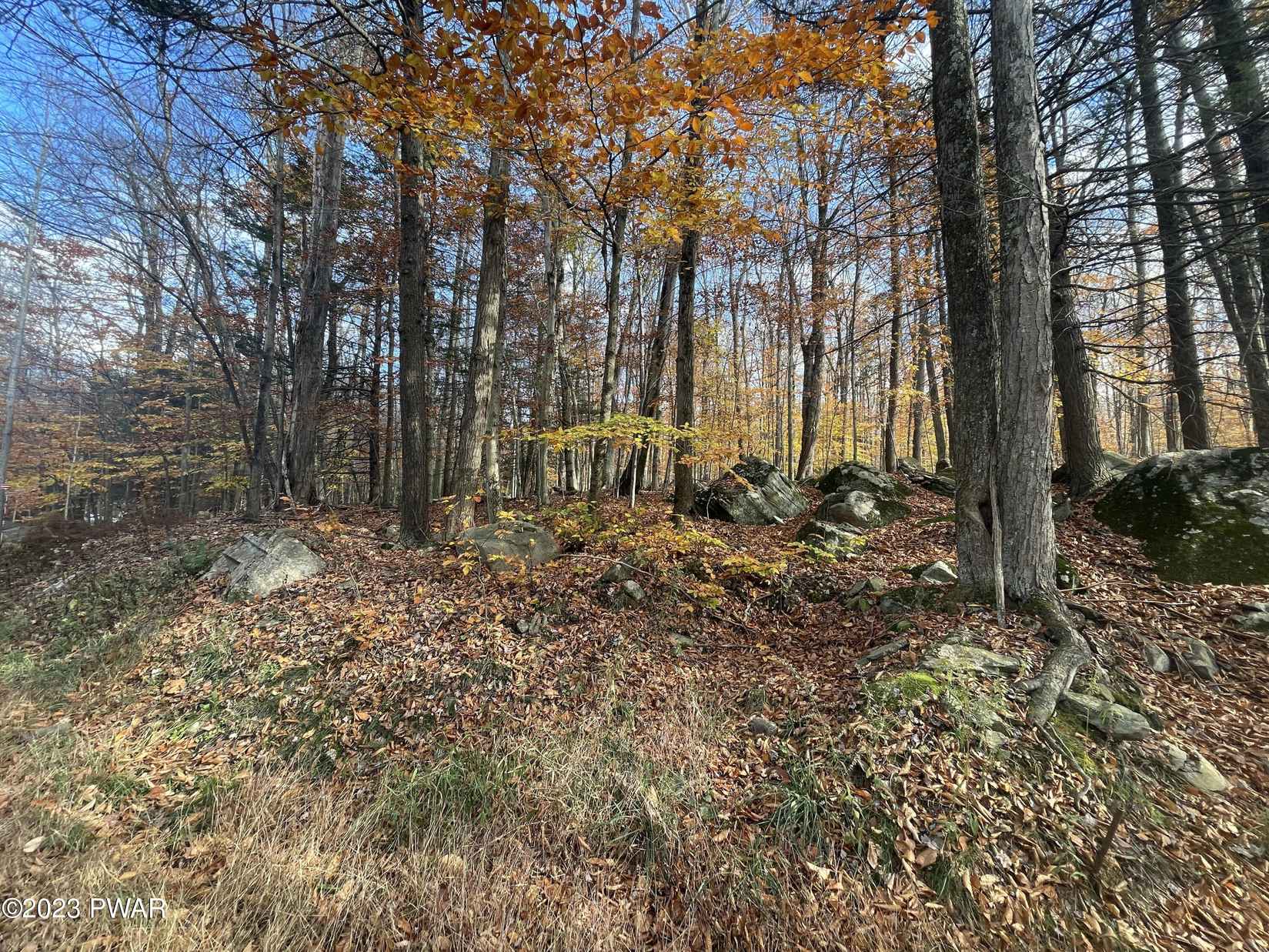 168 (3094) Northgate Rd  