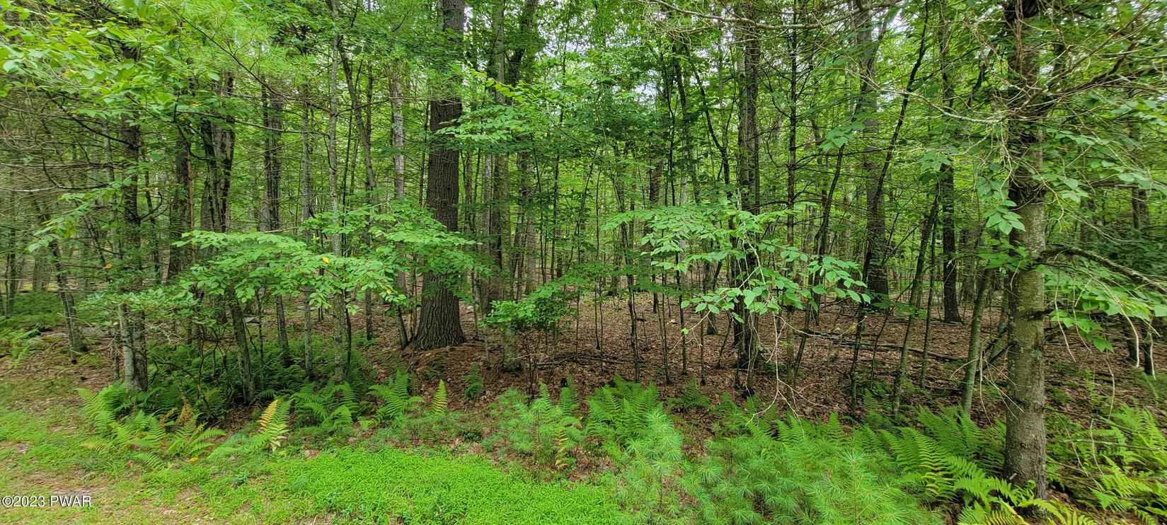 Lot 45 Hawks Nest Dr  