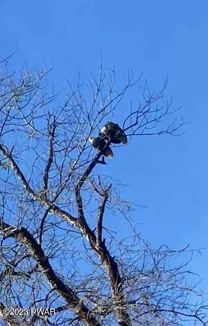 149 Lot 149 Mountain Top Rd Rd  