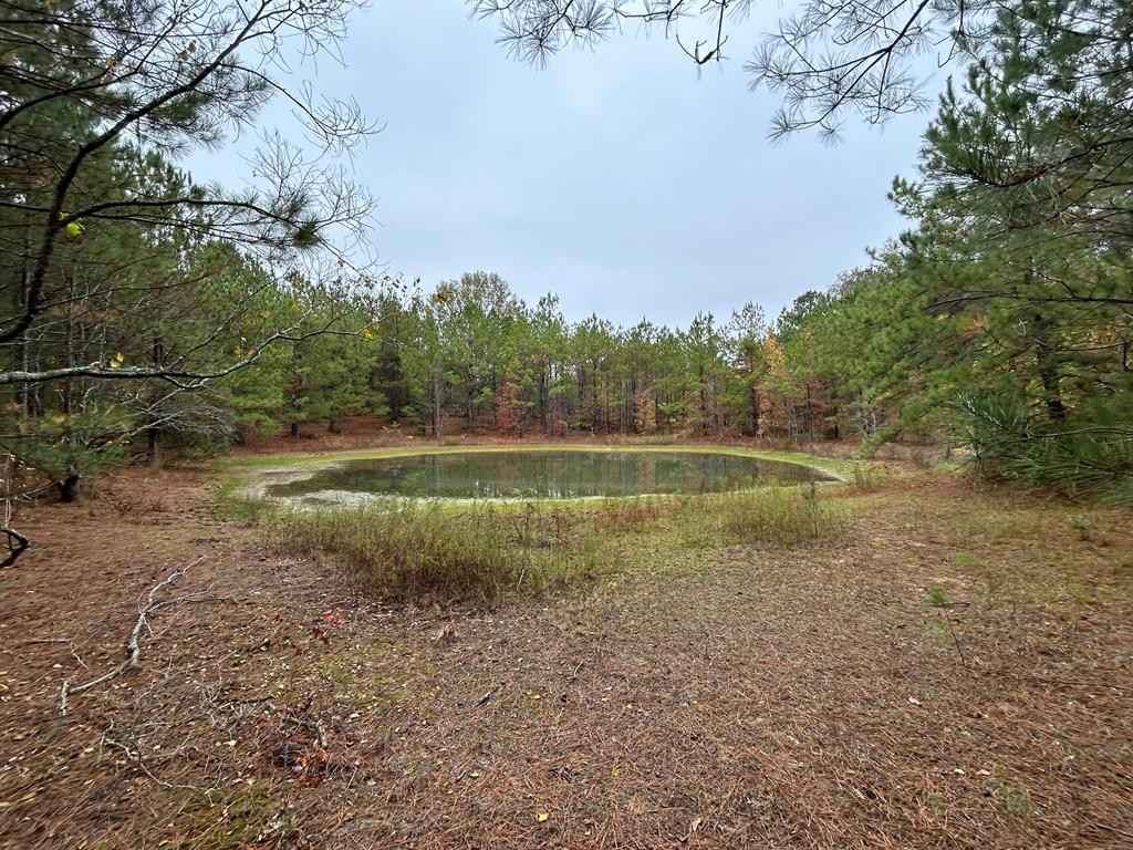 0000 Jackson Lndg Rd  