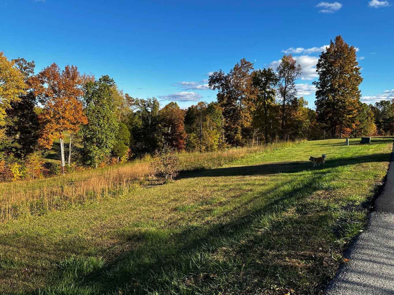 Lots 8 9 Eagle Trce Dr  