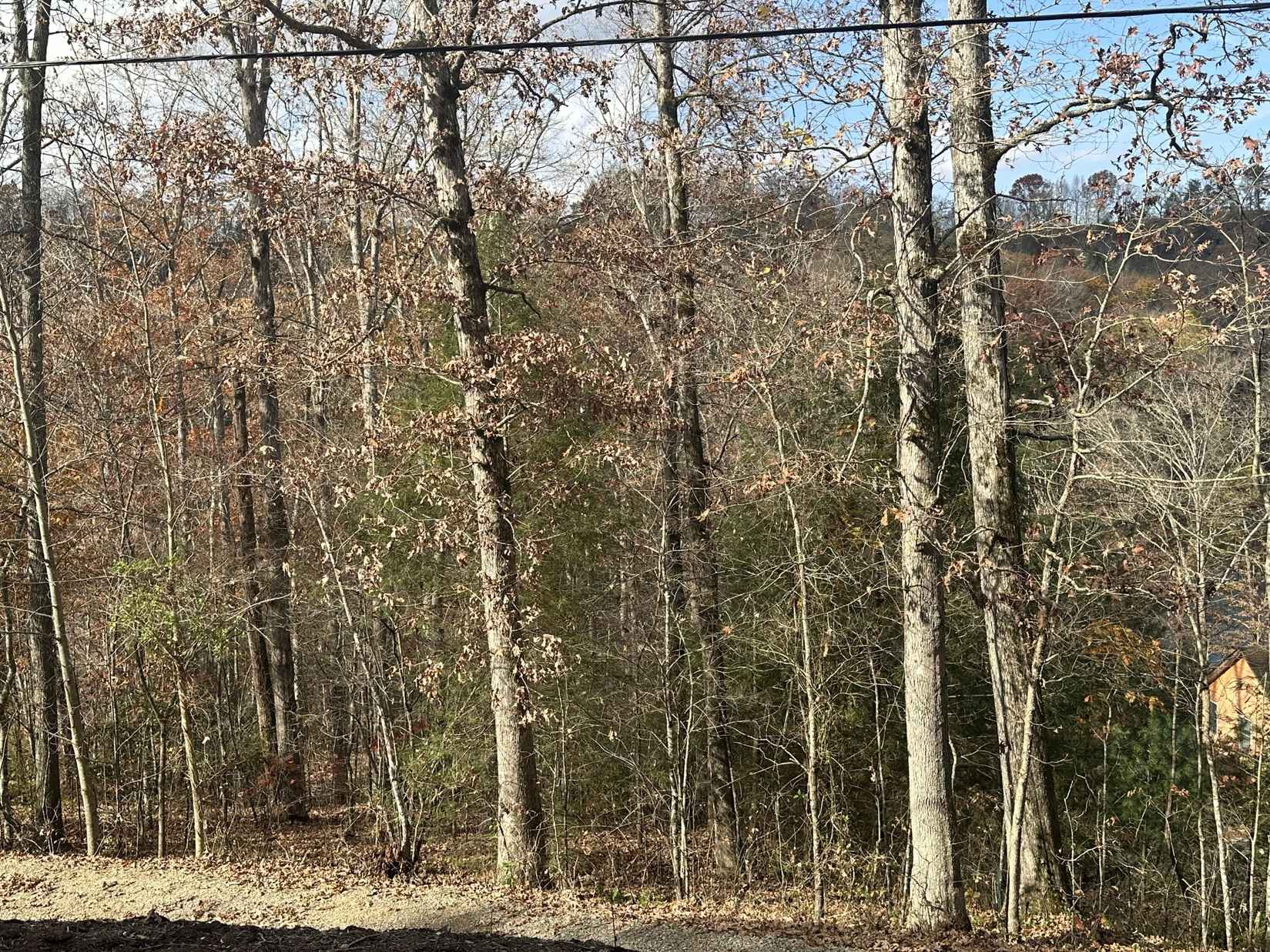 Lot 10 Laurel Cv Rd  