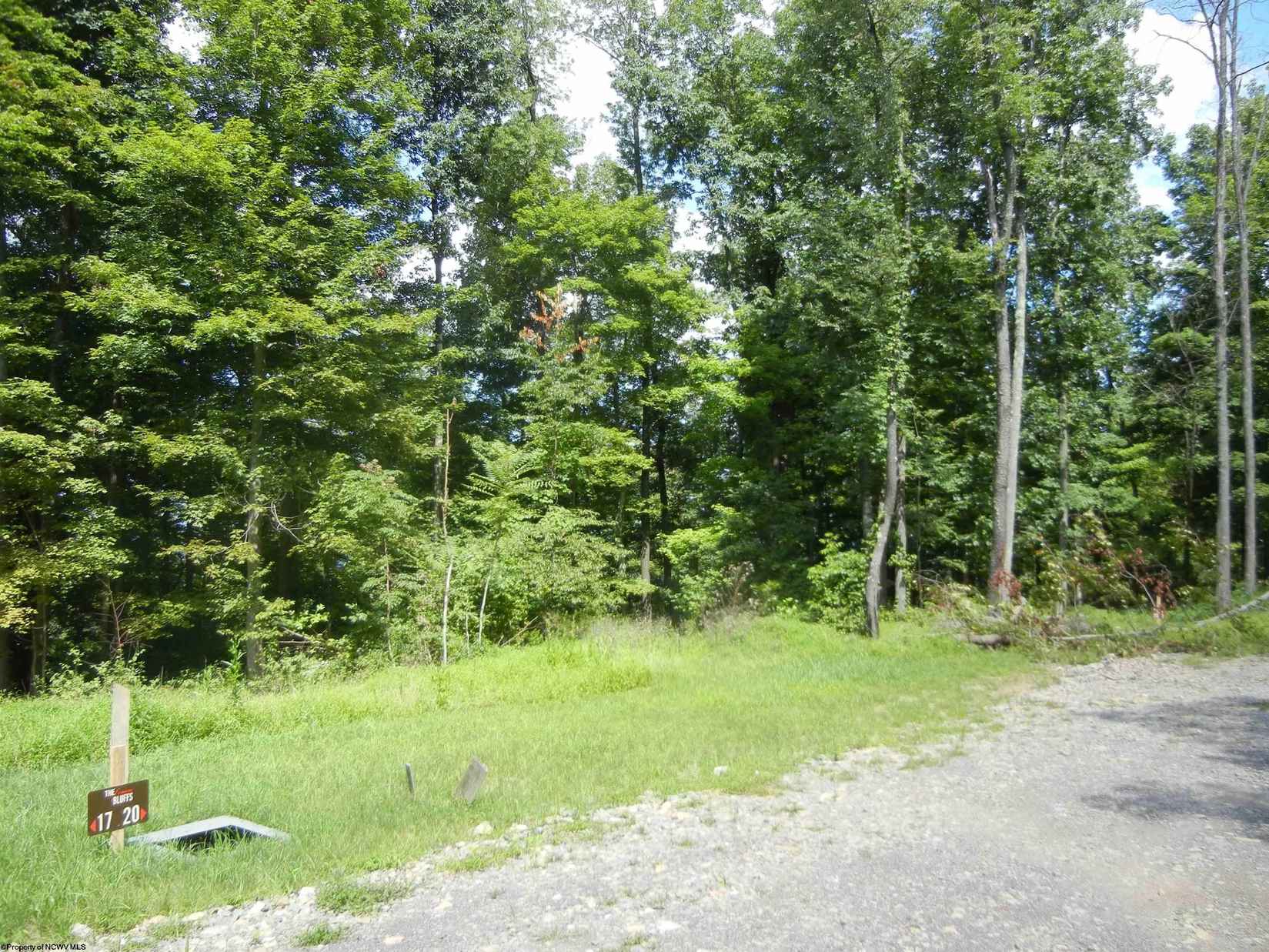 Lot Unit 20 Bear Butte Way  