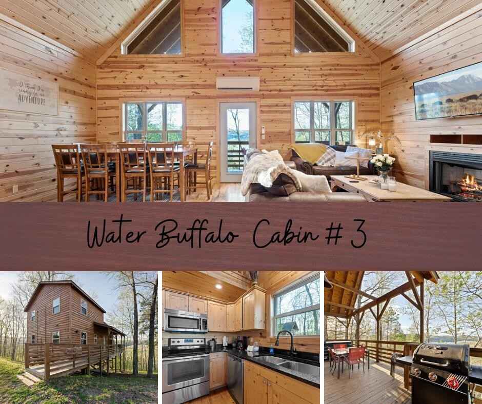 107 NC 6011 Cabin 3  