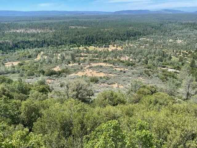 40 Acres  