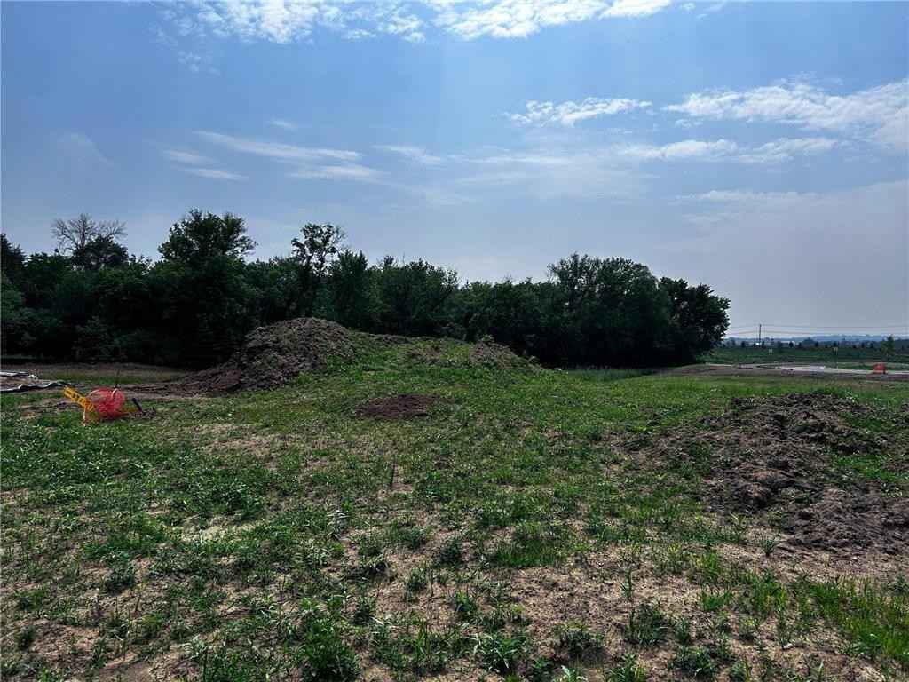 11468 Blazingstar Ct N  