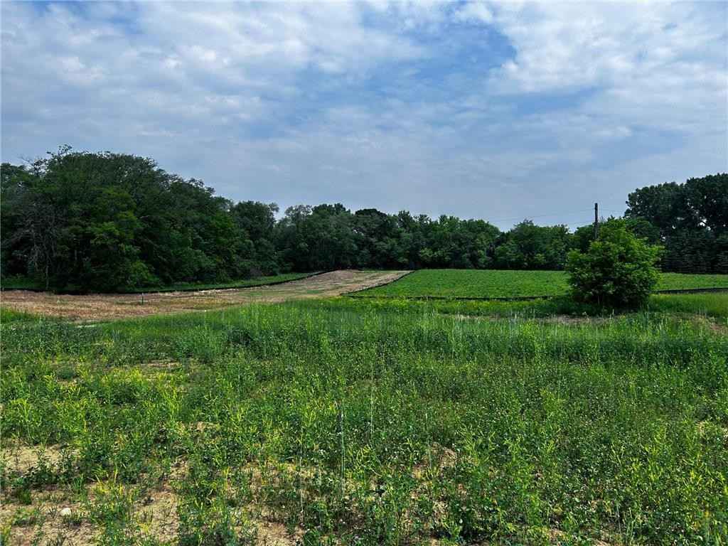 11462 Blazingstar Ct N  