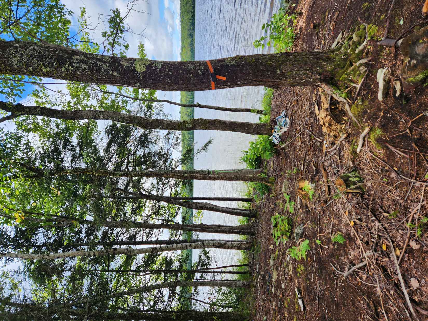 Lot 39 Woodland Rdg Rd  