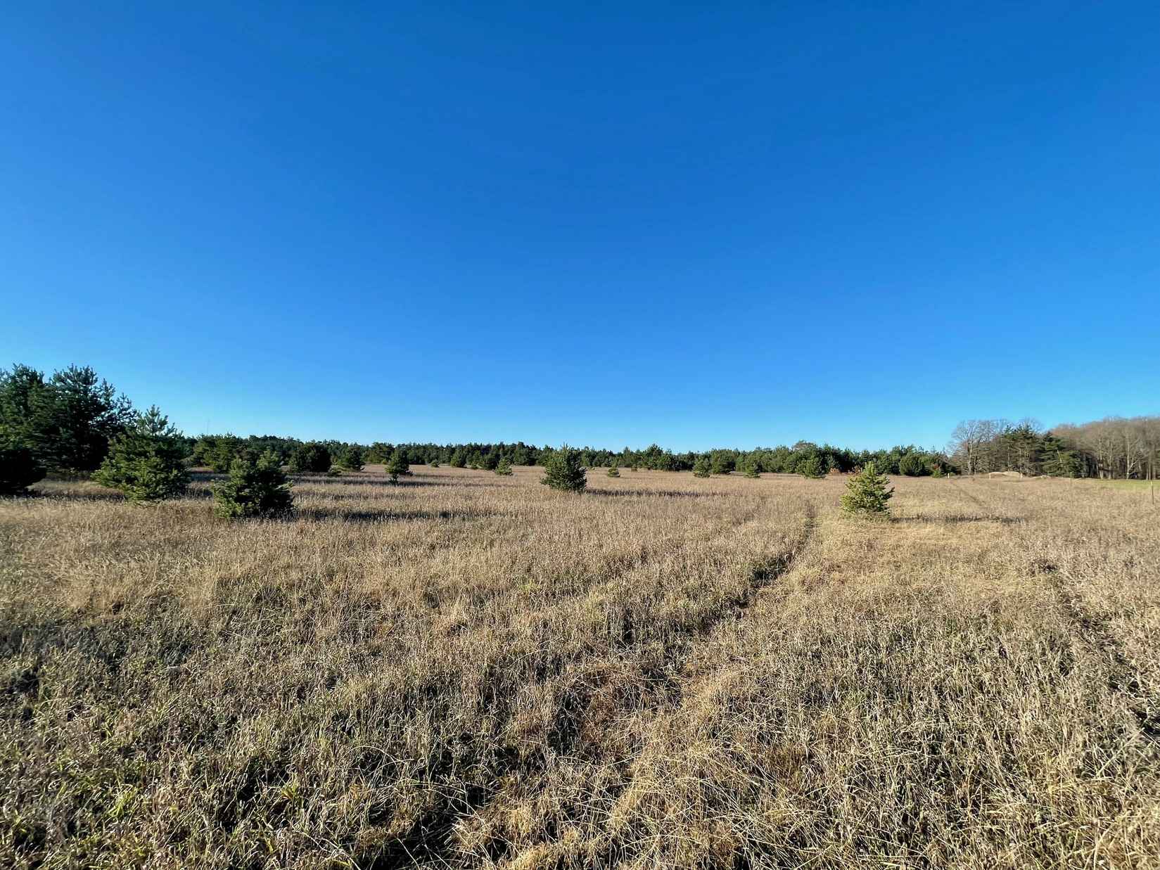 W M-32 HIGHWAY 40 ACRES  