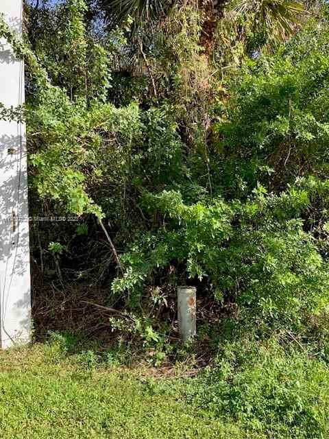 29000 Everglades Blvd S  