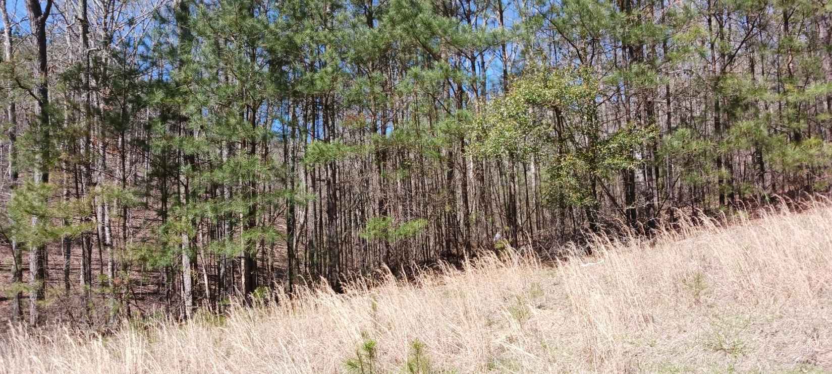 LOT 223 S STONEY POINTE  