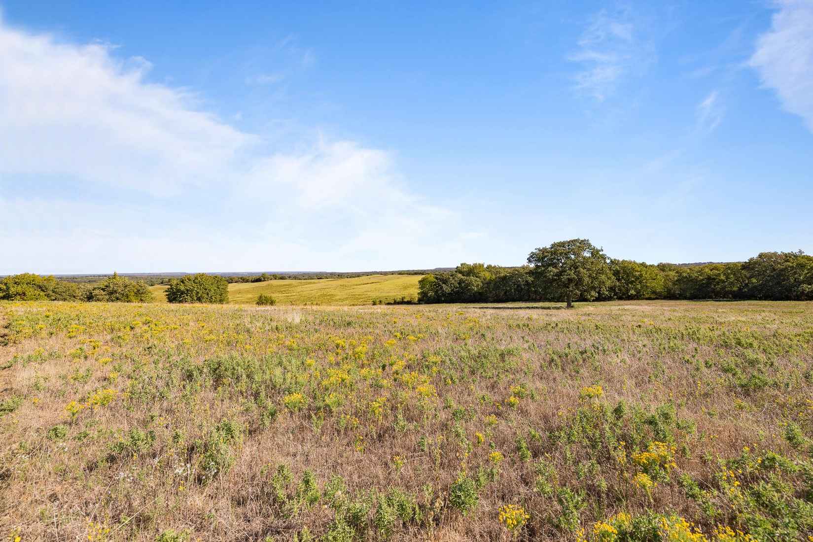 4067 County Rd 414  