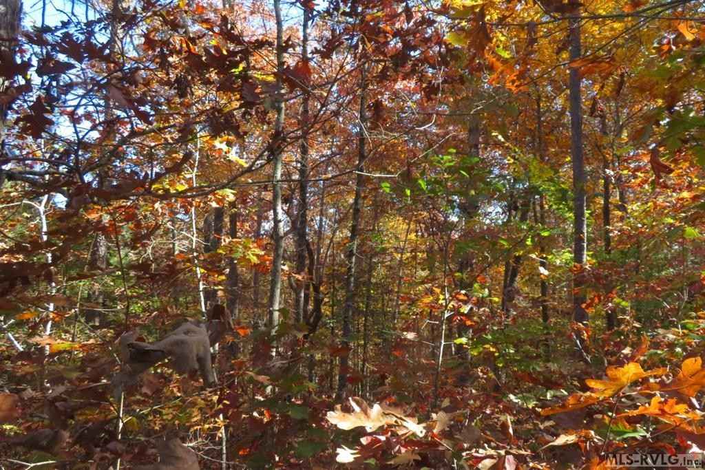 LOT 61 LAKE POINTE Dr  