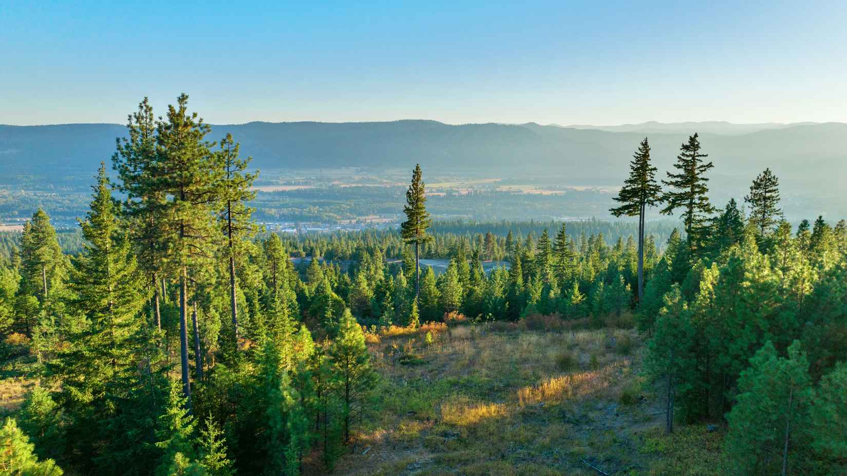 10 Lot 10 Forest Rdg Dr  