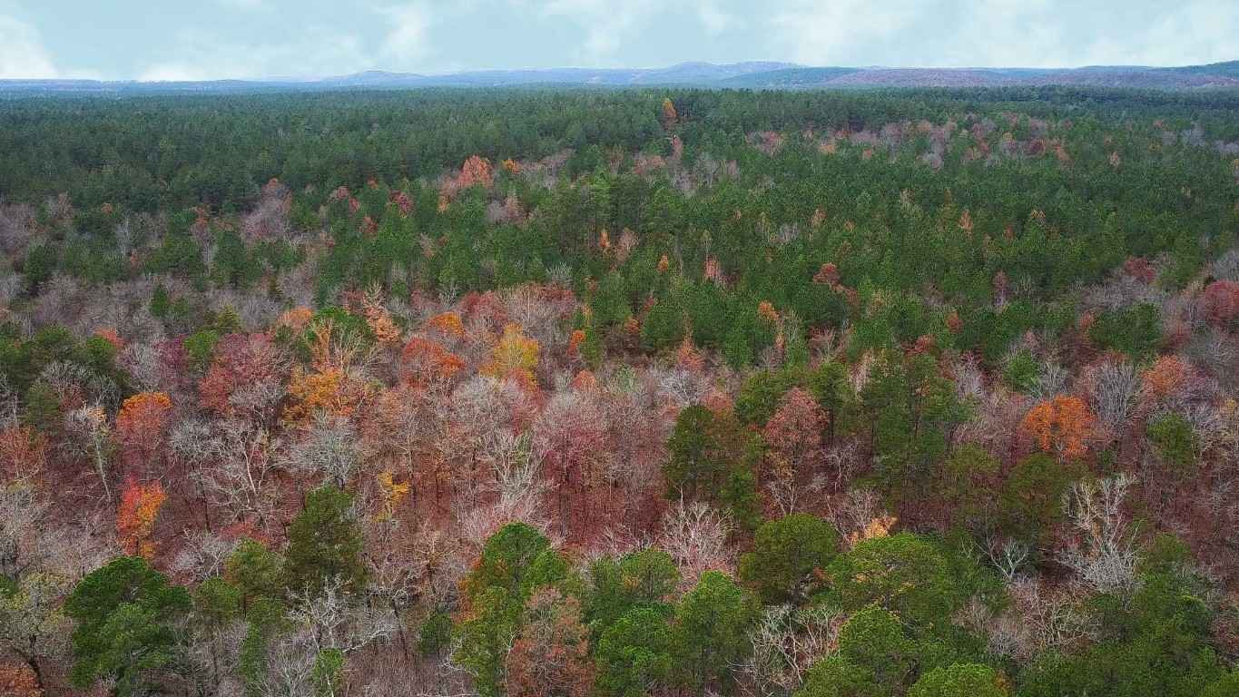 181 Chasing Stella Ln  