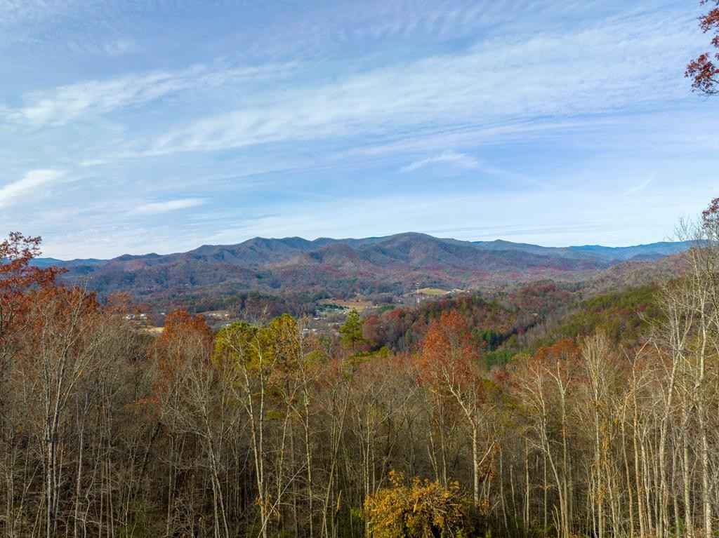 Lot 2 Wade Crain Rd  