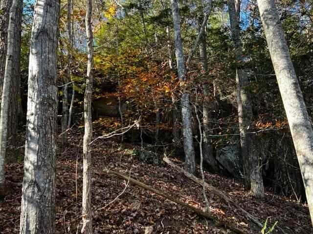 99999 Larison Rd  