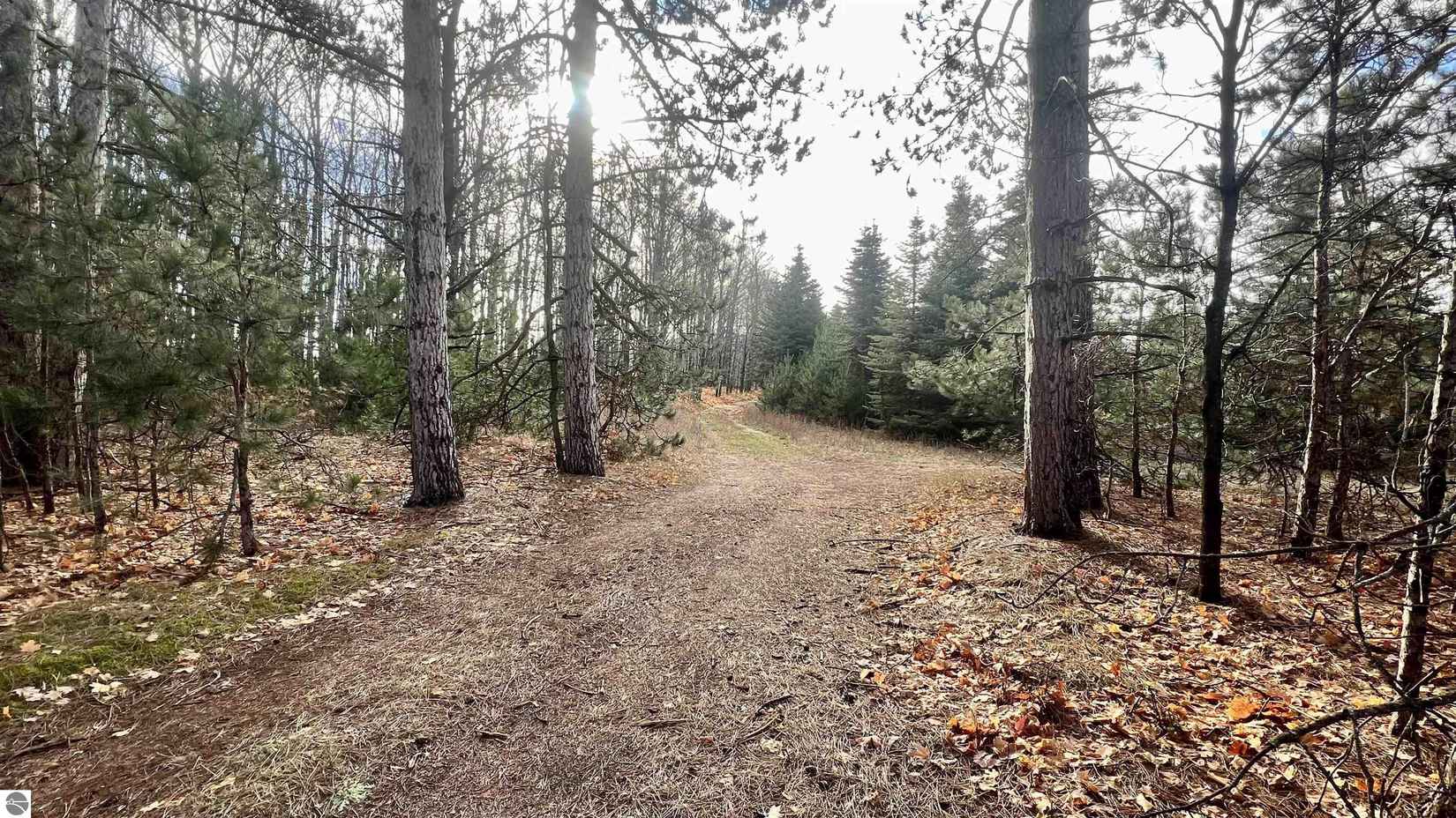 74 Acres 16 Mile Rd  