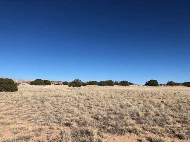 0 6 Acre Buffalo Trl  