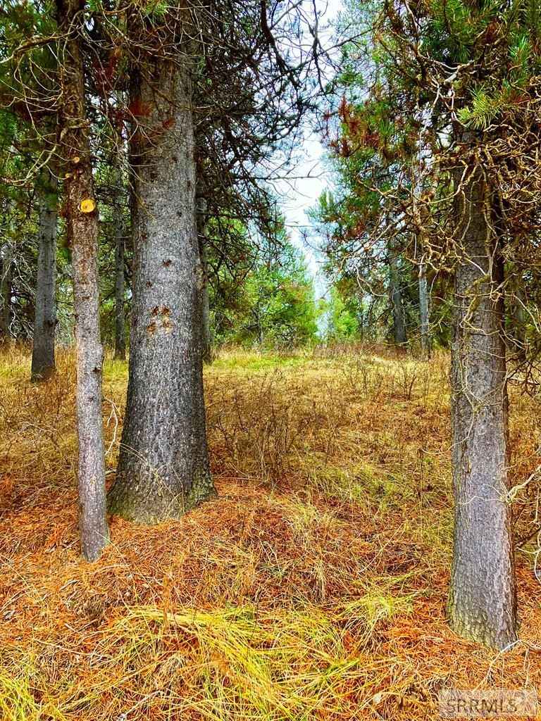 4402 Granite Rdg North  