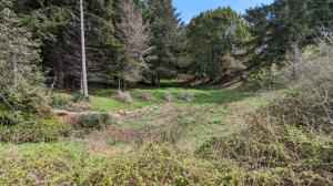246 Hickory Rd  