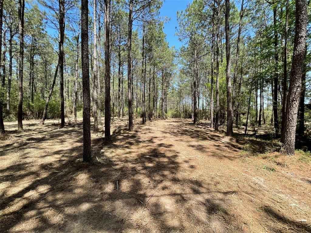 15899 Wood Grove Way  