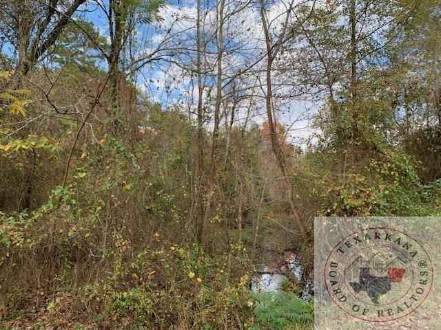 TBD 2nd tract CR 4217  