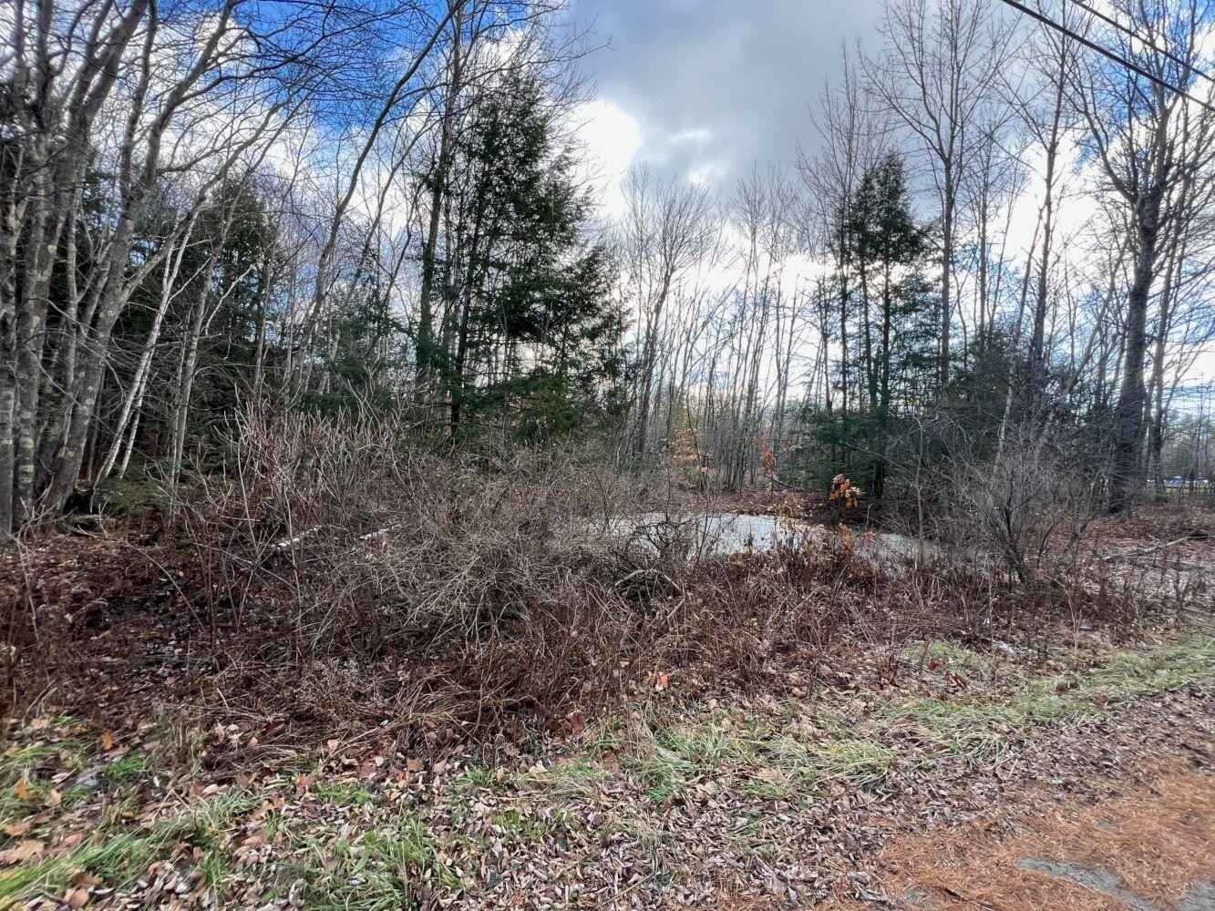 M1 L42-9 Snow Pond Rd  