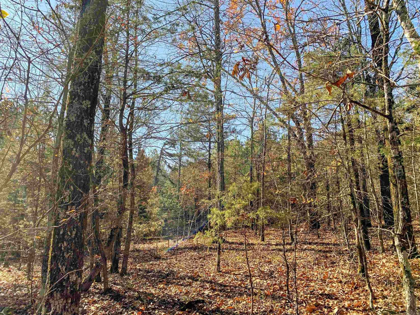 1664 Odom Pt Rd  