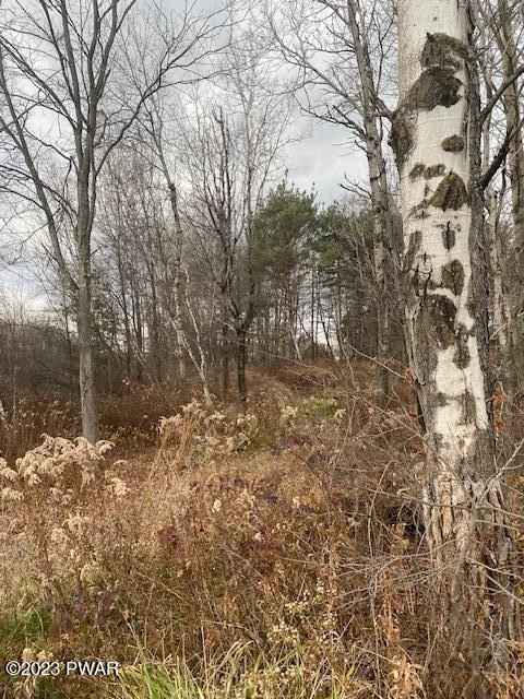 115 Shust Rd  
