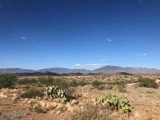13502 S High Haven Mesa Pl  