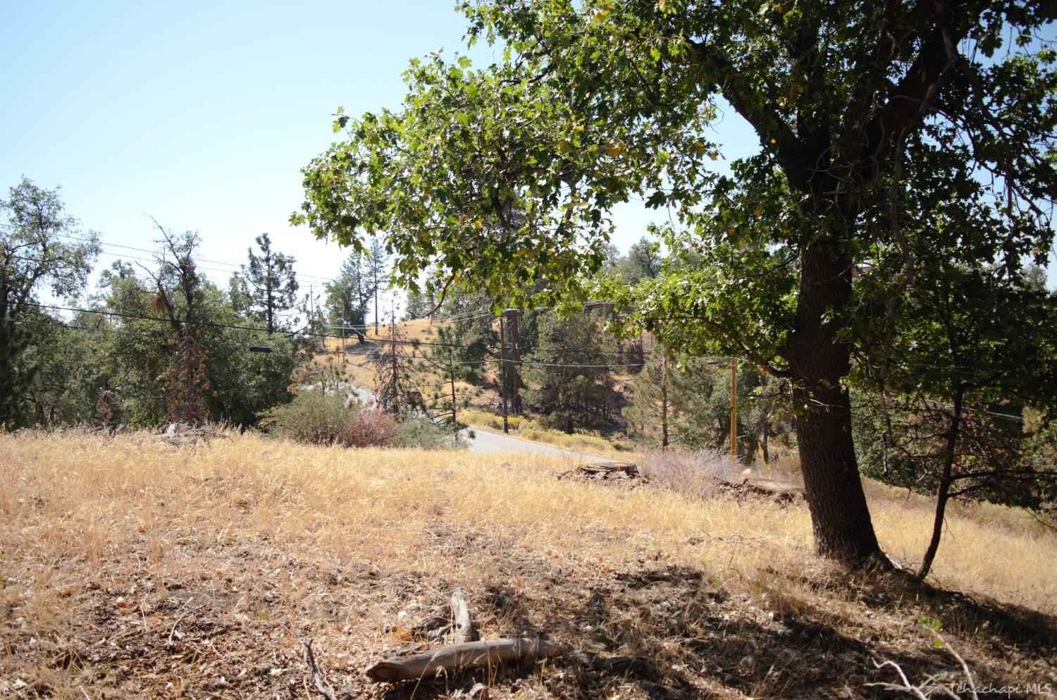 25920 Deertrail Dr  
