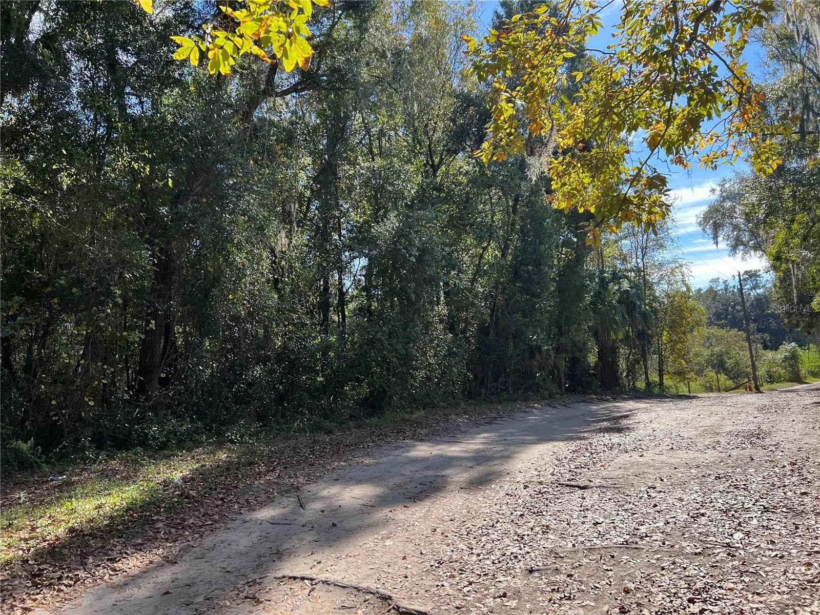 POINT 42 ACRES  