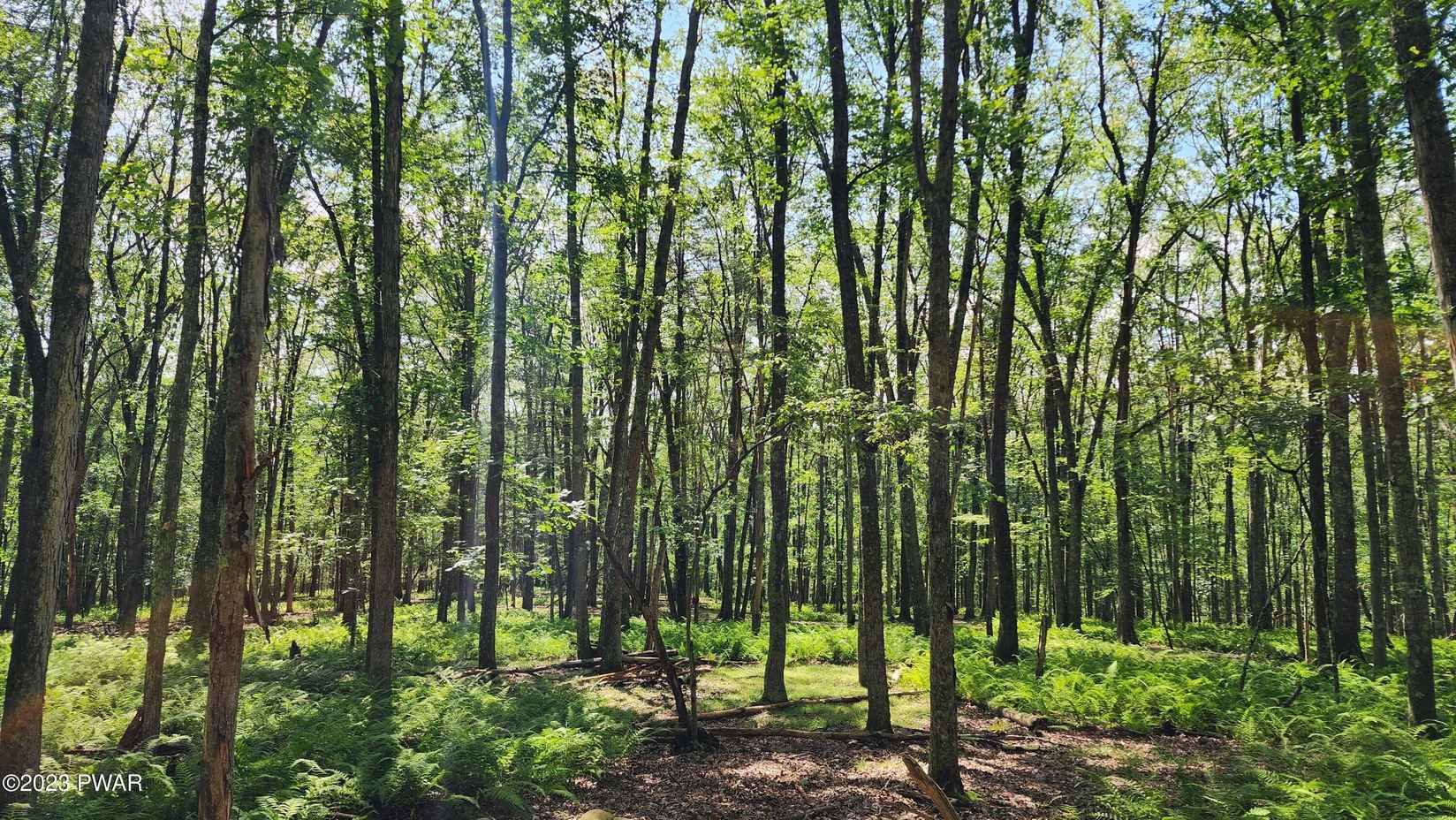 Lot 463 Eastwood Cir  