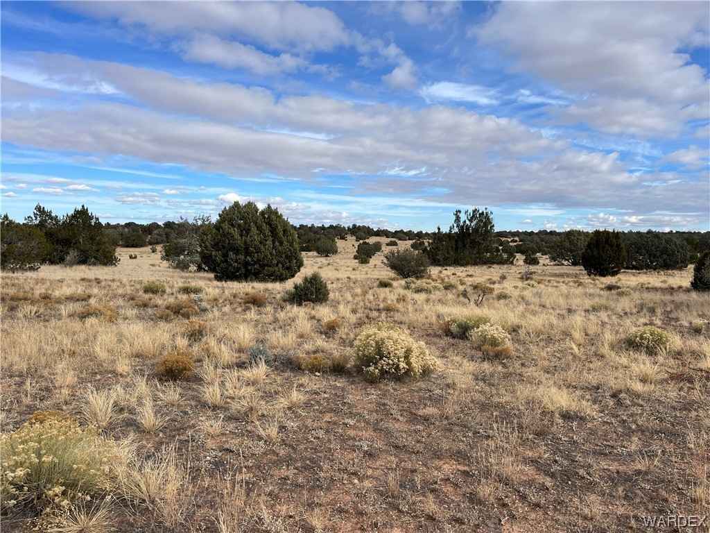 357 Antelope Vly Ranches  