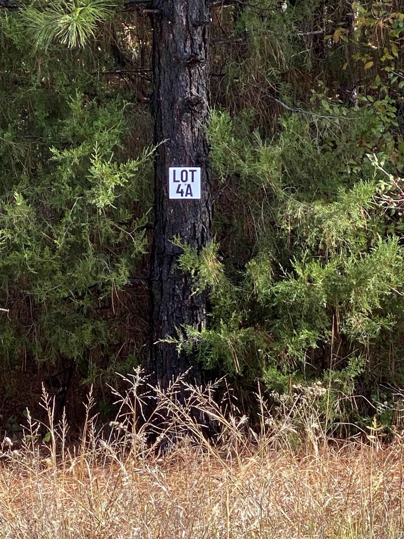 4A Hwy 89  